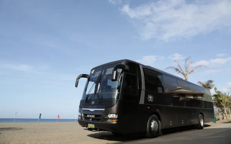 Luxury Limo Services Limousine Rental Manila LXV Cars