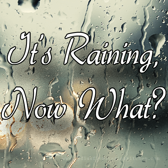 It's Raining, Now What? {C25K Challenge} Lydia's Flexitarian Kitchen