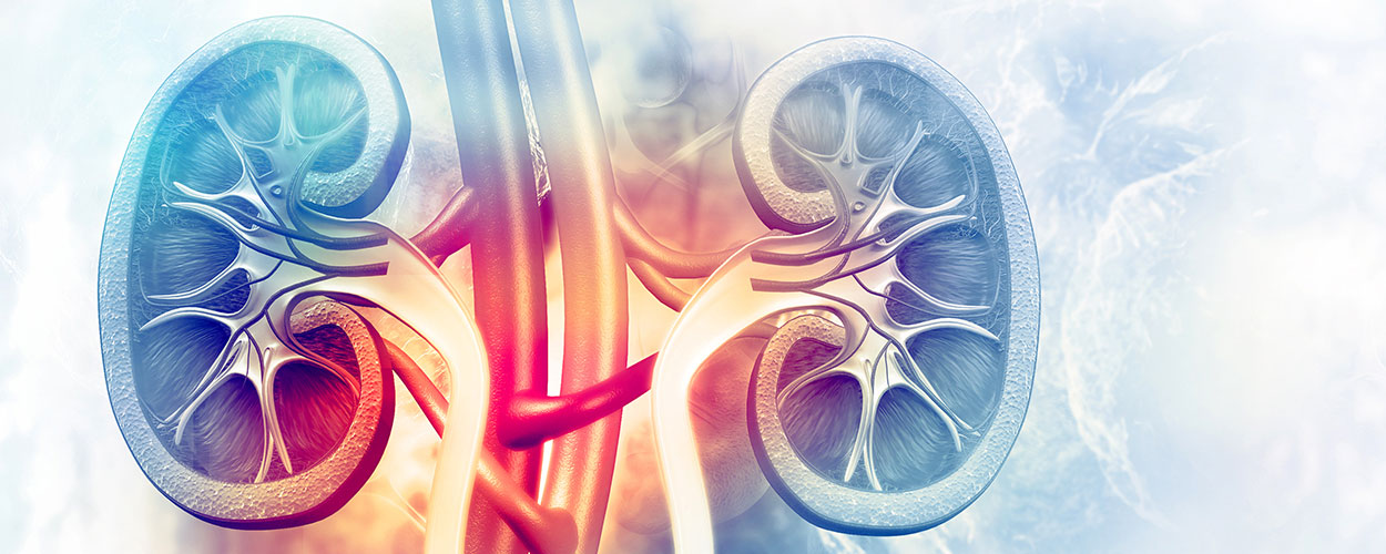 Kidney Removal Surgery Cost in India, Nephrectomy Surgery Cost India