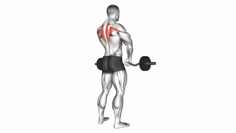 Upright Row Dumbbell