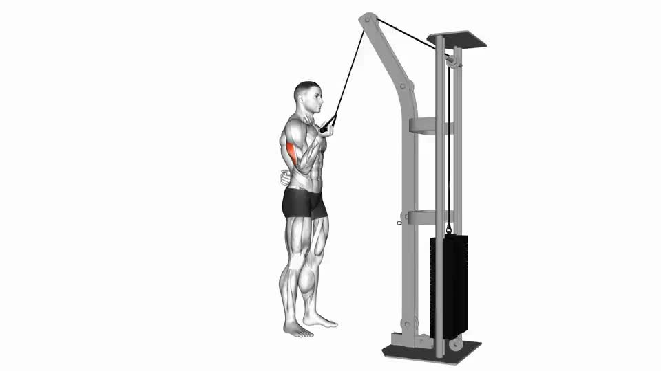 Cable Underhand Triceps Extension