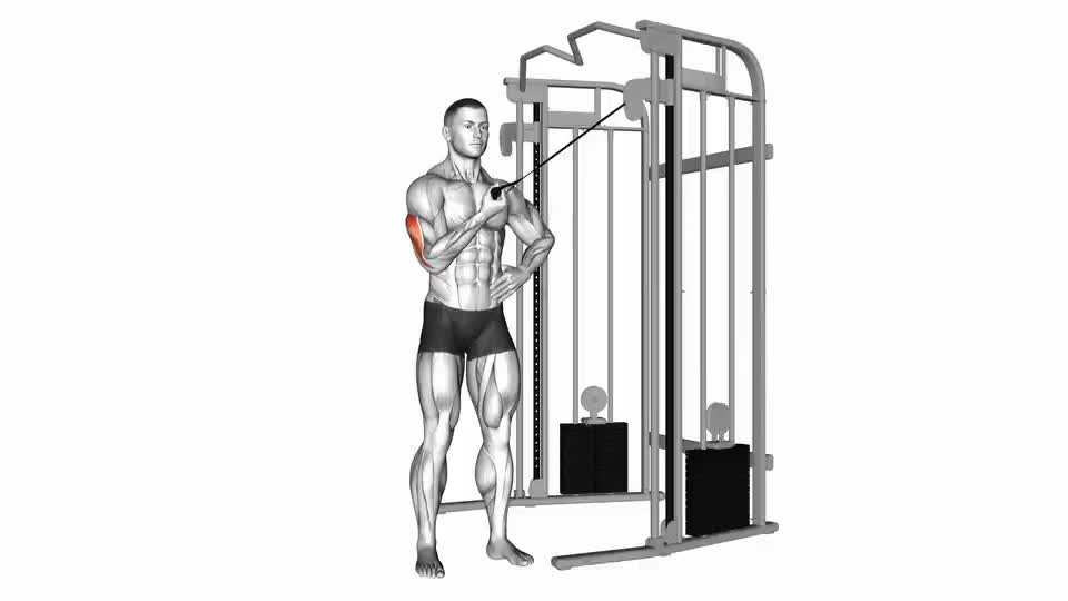 Reverse One Arm Cable Triceps Extensions