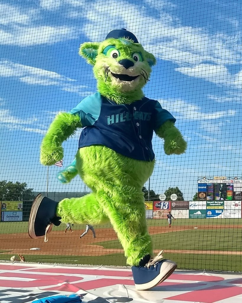 Lynchburg Hillcats LYH Lynchburg Tourism