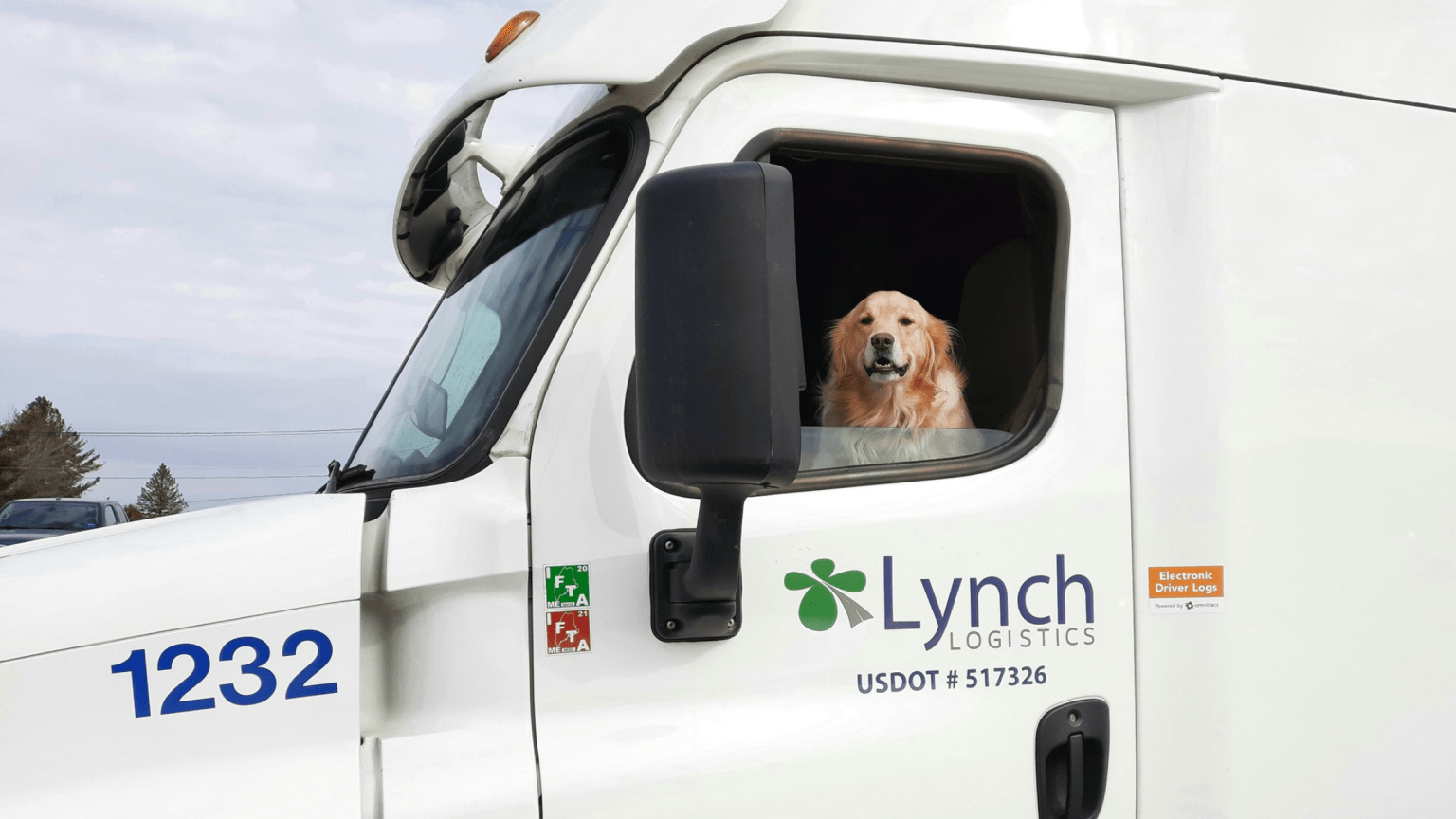 The Pros and Cons of Pets On The Road Lynch Logistics