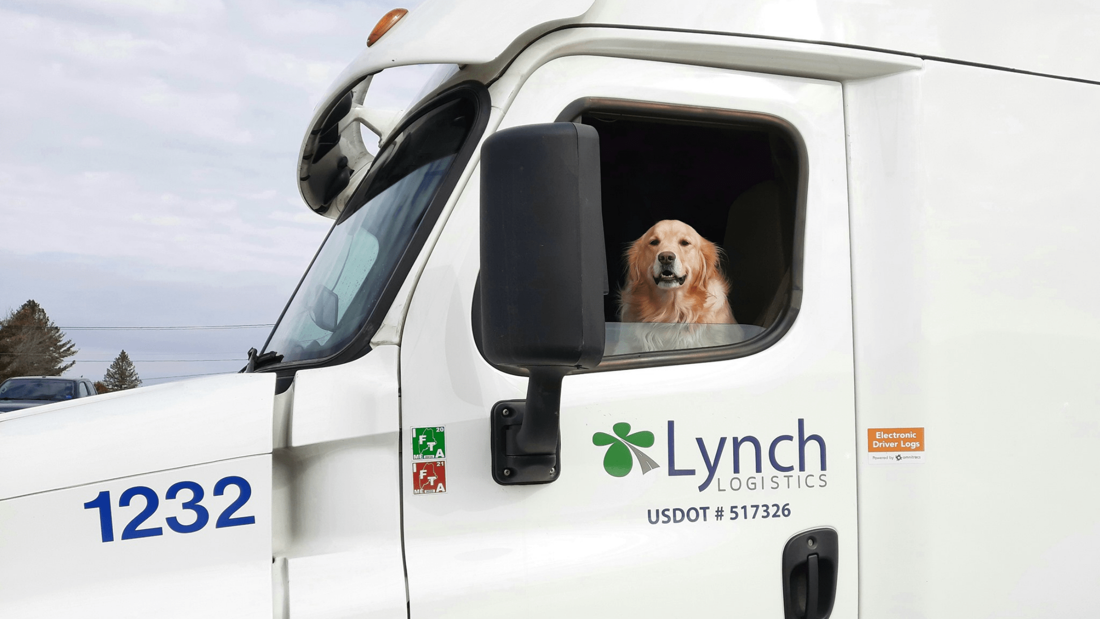 The Pros and Cons of Pets On The Road Lynch Logistics