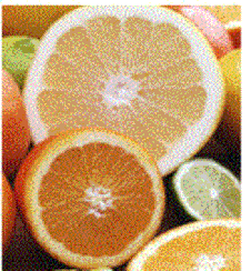 CITRUS POWDERED FLOOR CLEANER, Powdered citrus floor ... (226 x 244 Pixel)