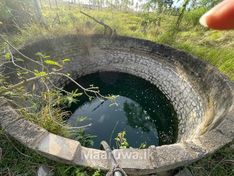 50 acres coconut land for sale Kurunegala, Kurunegala Sri Lanka's