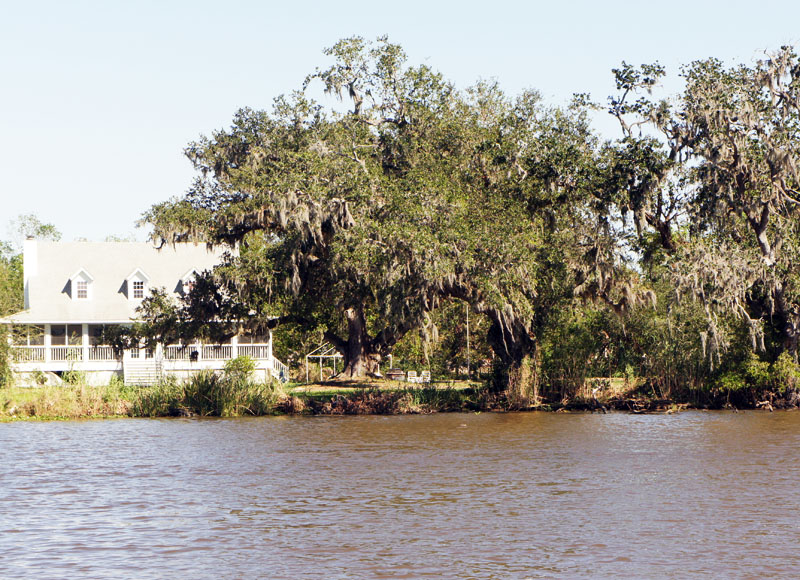 En Louisiane // La Plantation de Oak Alley et promenade dans le bayou