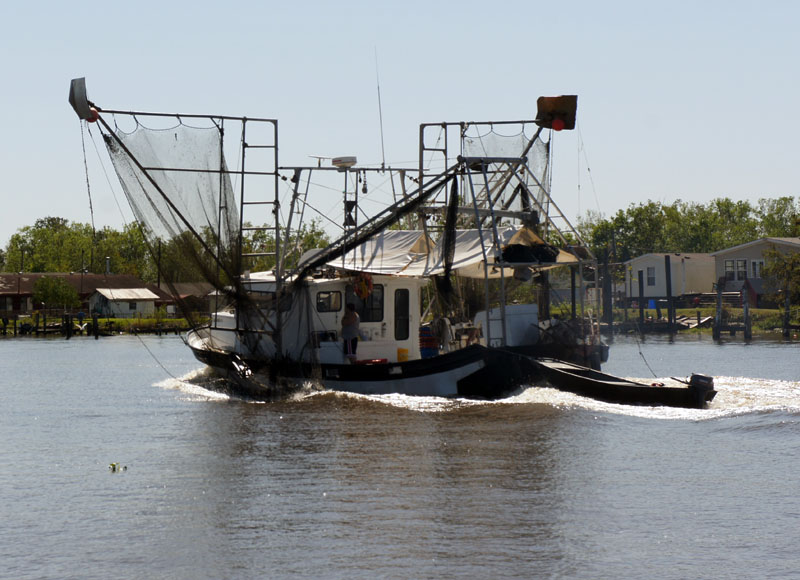 En Louisiane // La Plantation de Oak Alley et promenade dans le bayou
