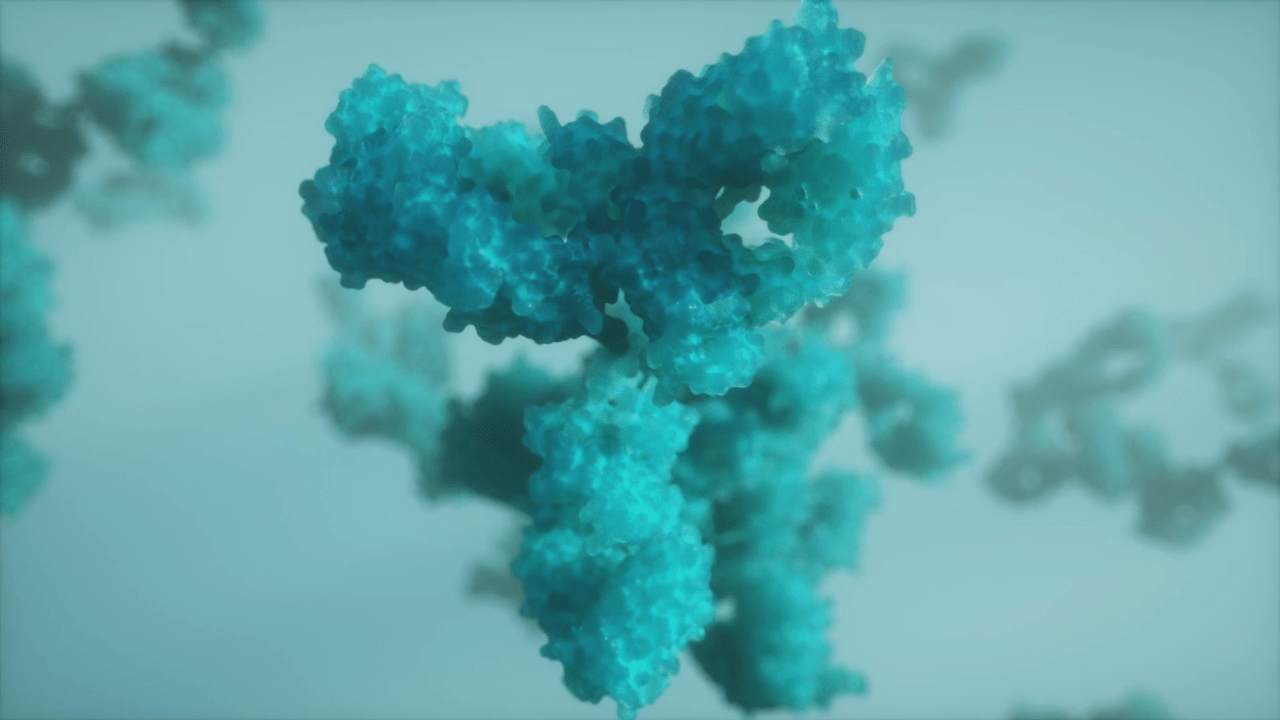 How do monoclonal antibodies work against cancer?