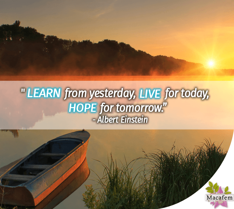 What Can I Learn Today Song Download from The Invisible.