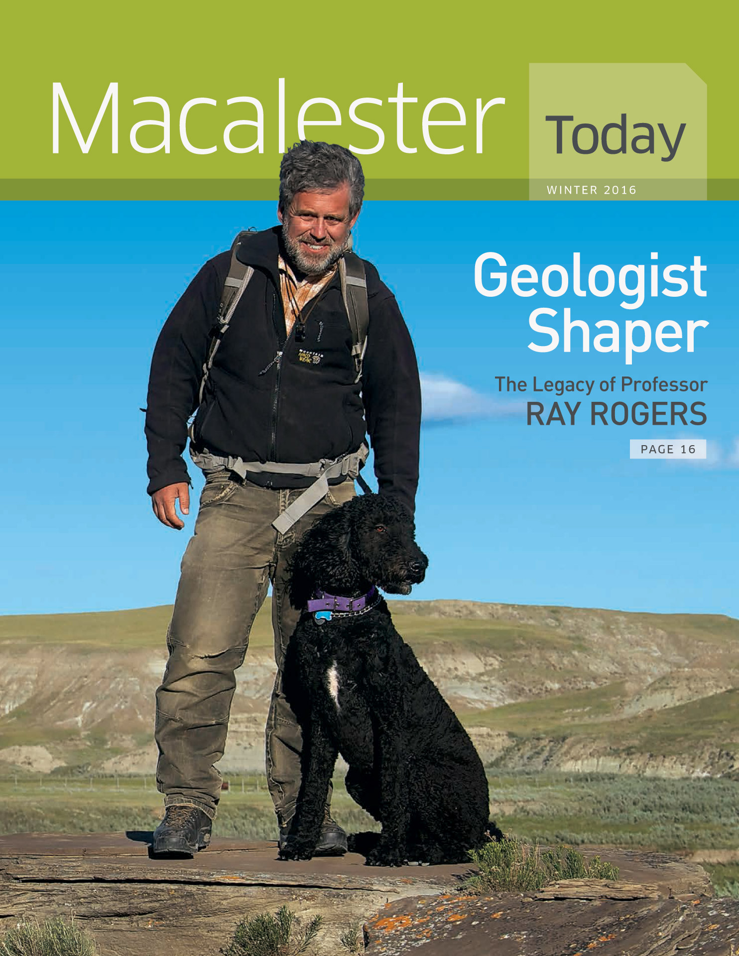 Why Is My Dog Having Night Terrors