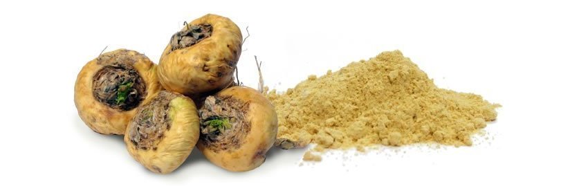 Maca Das Superfood aus den Anden Dr. Schweikart Verlag