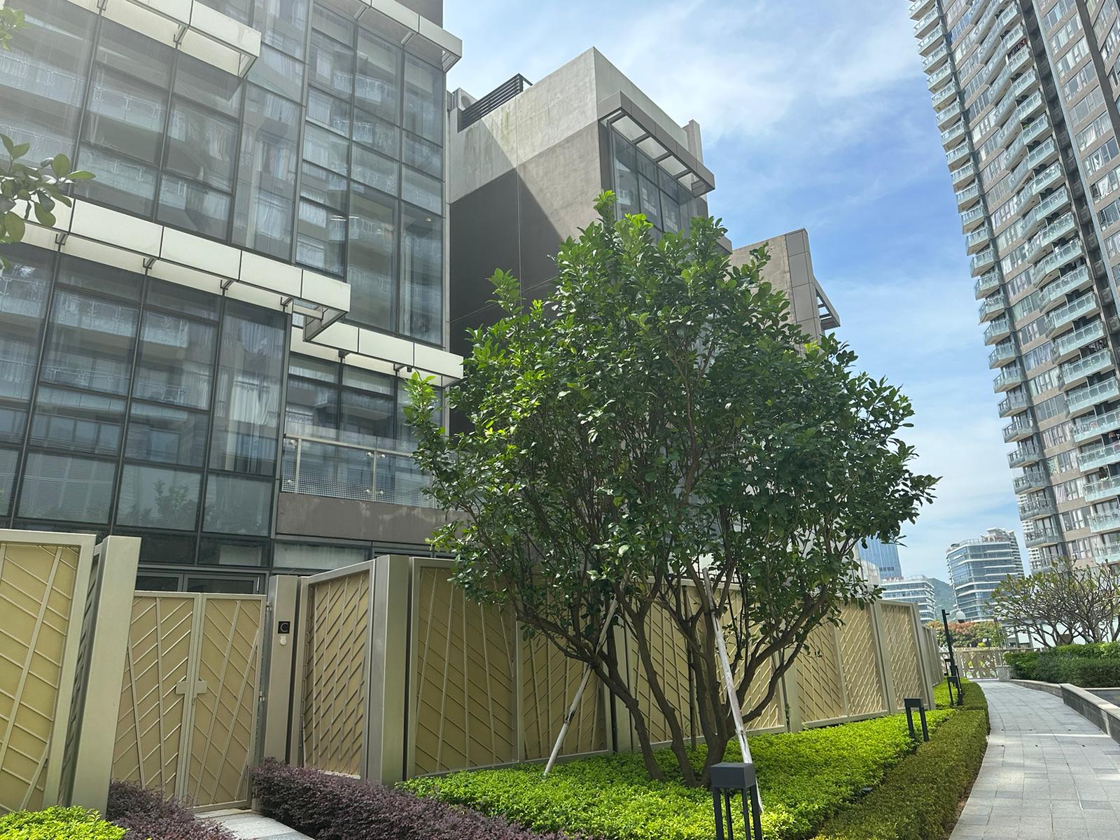 Macau Rent Townhouse in Taipa (For Rent) w/ Two Parking