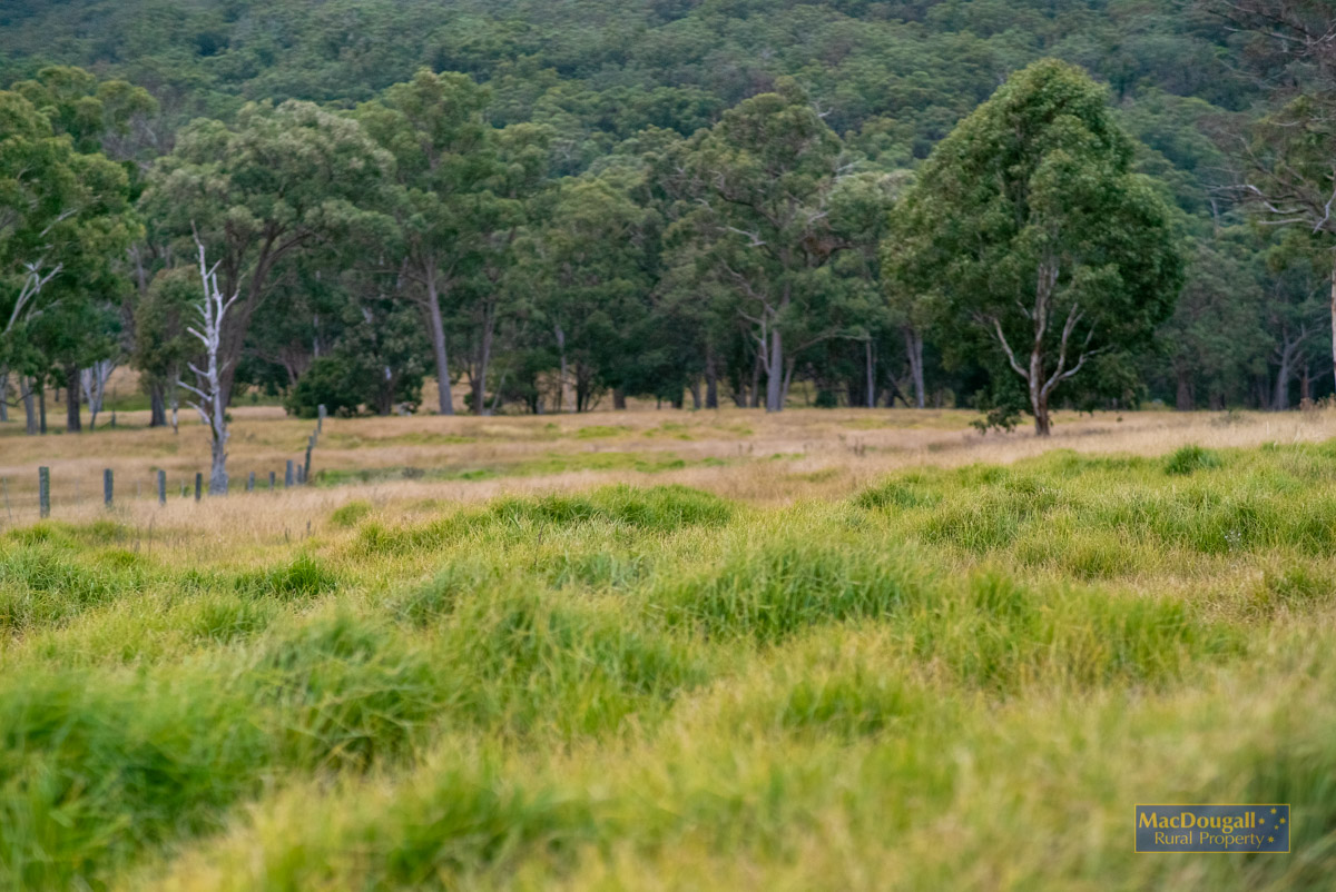 "Bald Rock" MacDougall Rural Property