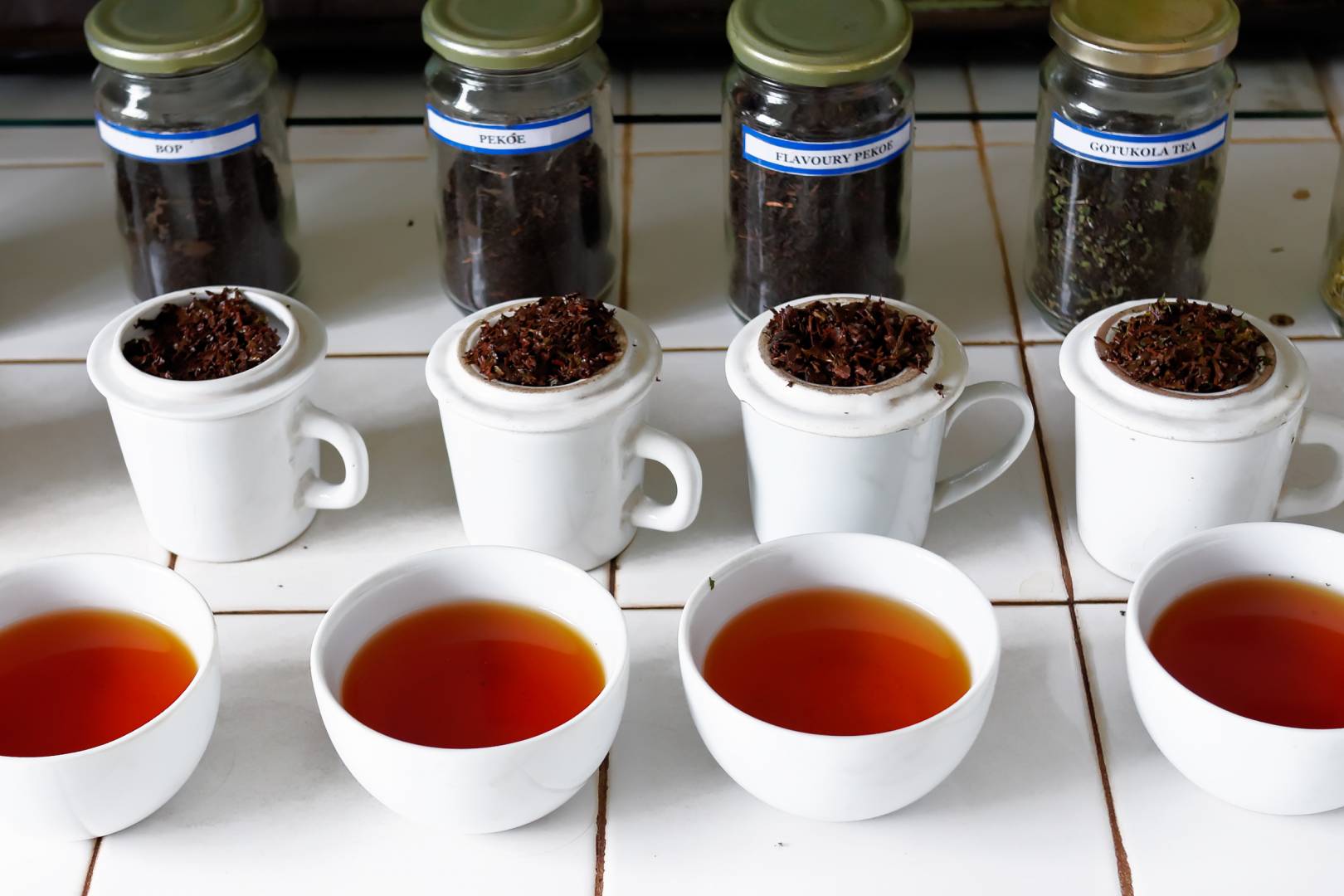 Sri Lanka Just my cup of tea Macfilos