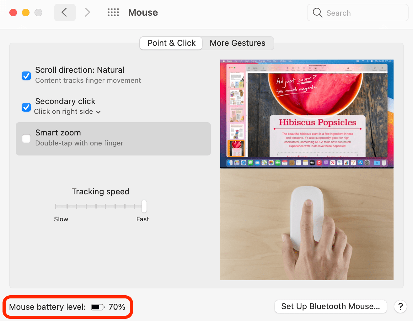 How to Check Your Magic Mouse's Battery Life Macinstruct