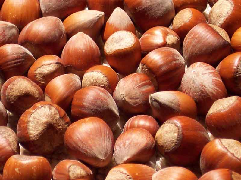 Nut Flavors Mack Flavor