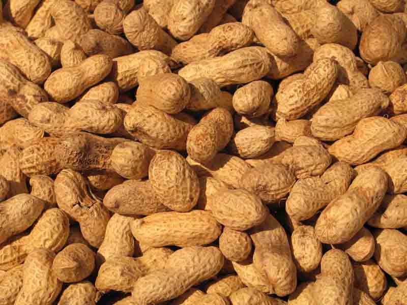 Nut Flavors Mack Flavor