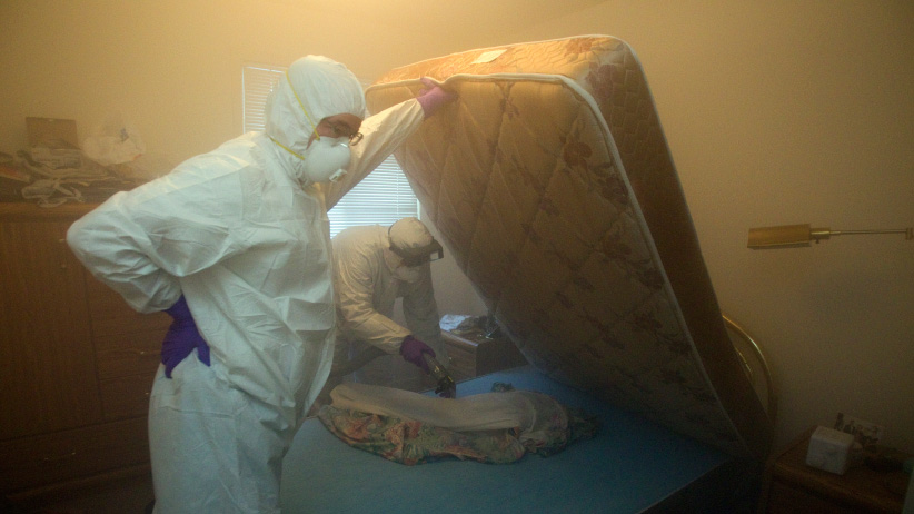 Are bedbug bylaws a good idea? Macleans.ca