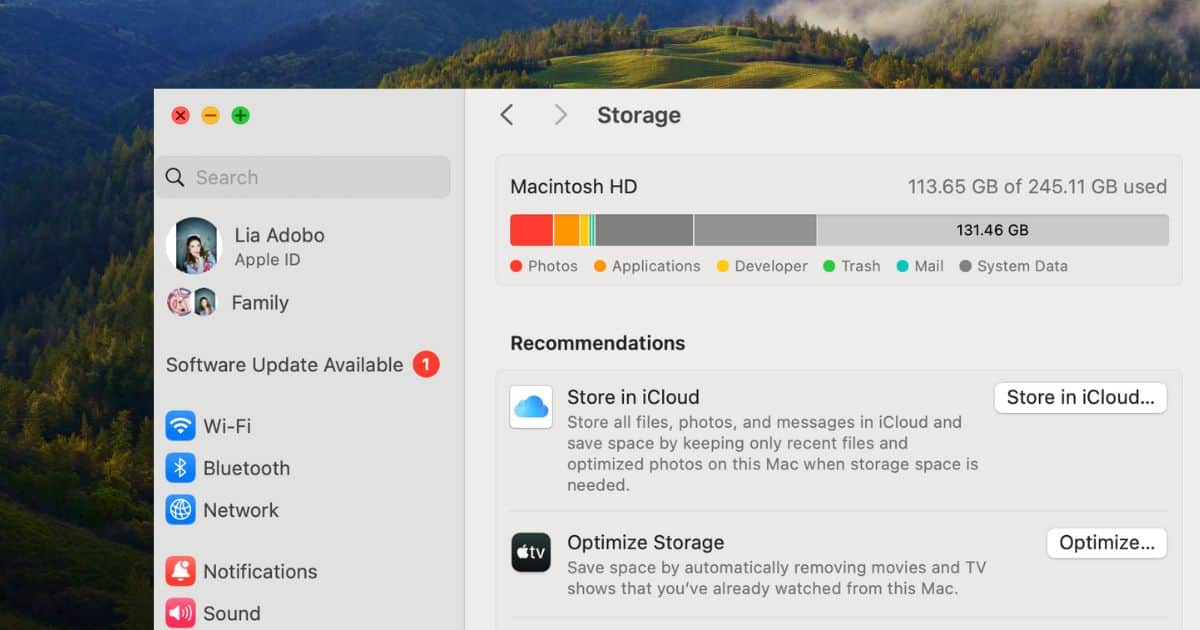 How To Fix macOS Sequoia Filling Up With System Data: 9 Ways - The