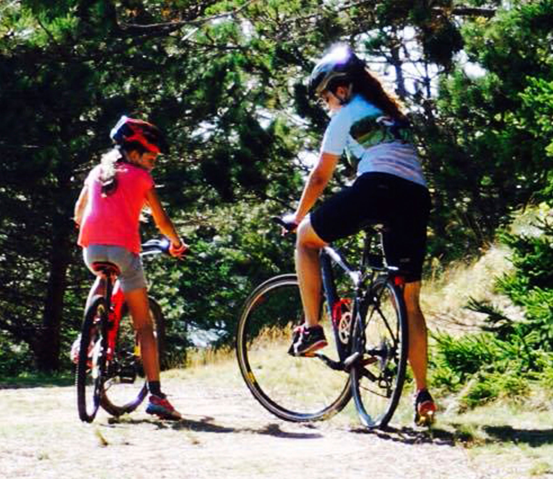 East Coast Park Family Bicycle Rental Price Bicycle Collection