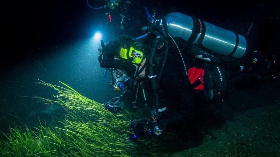 Rainbow River Night Dive Mac's Sport Inc.