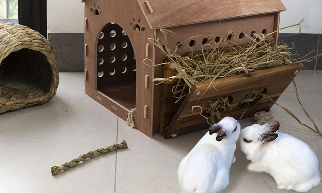 Why Your Rabbit Needs to Chew MadeTerra