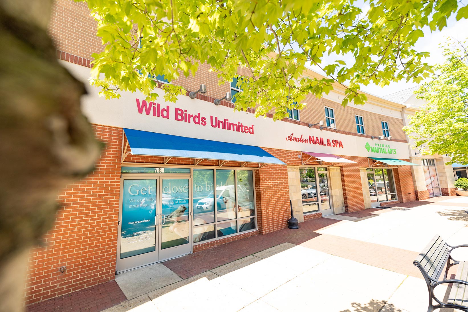 Madison Crescent Photo Galley Retail and Professional Building