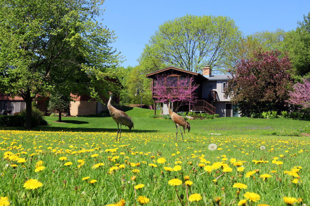 Middleton, WI Real Estate Middleton Homes For Sale