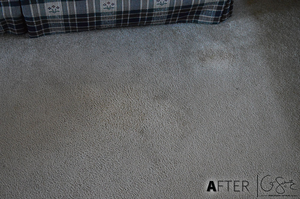 Clean Unknown Carpet Stains Madness & Method