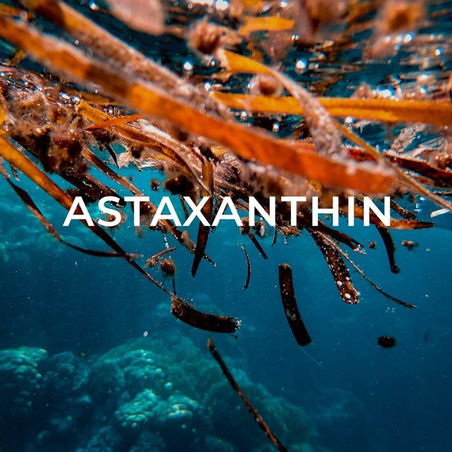 Astaxanthin 101 Nature’s Most Powerful Antioxidant MADO ENERGY