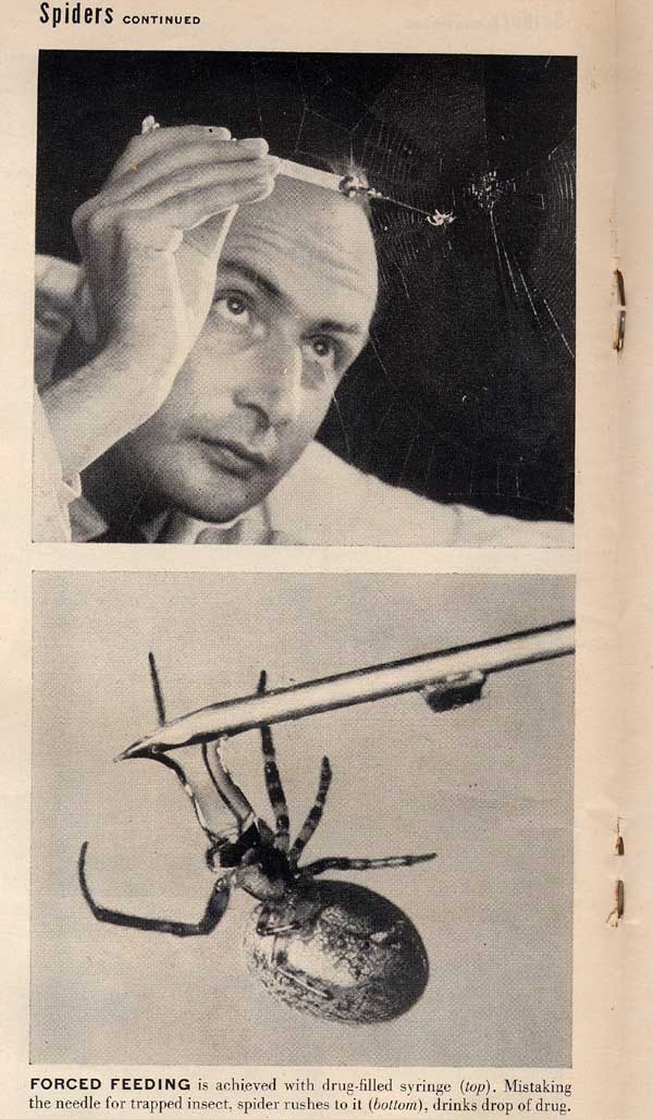 Mad Scientist 15 Peter N. Witt Mad Scientist Blog