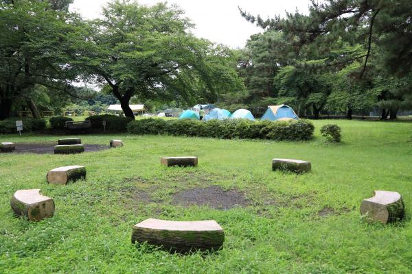敷島緑地キャンプ場｜観光・体験 前橋の観光・旅行情報サイト 「前橋まるごとガイド」