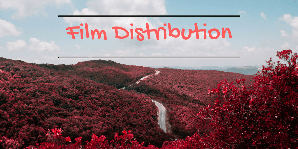 Film Distribution Process