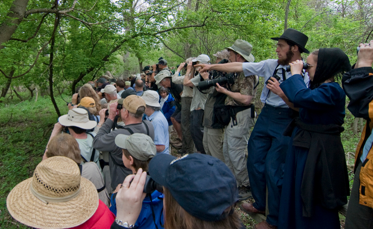 Magee Marsh Birding Festival 2023 Birding Magee Marsh