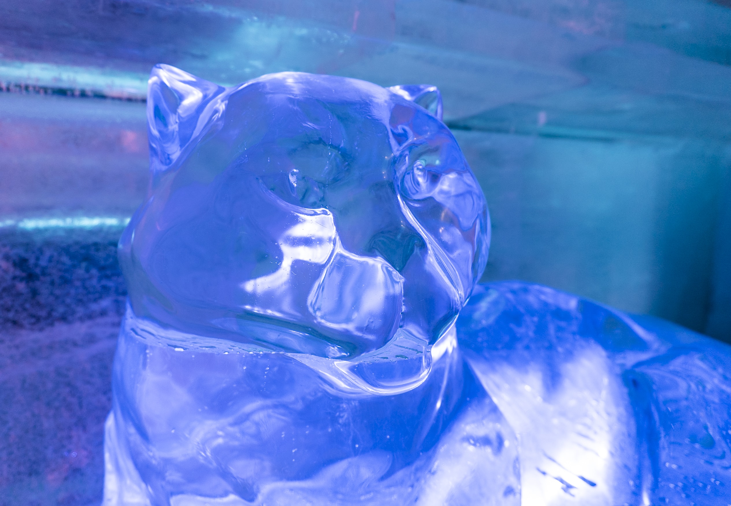 Magic Ice Bar Oslo A Unique Attraction Magic Ice, Norway