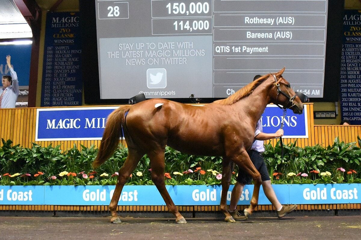 2016 Gold Coast March Yearling Sale Magic Millions