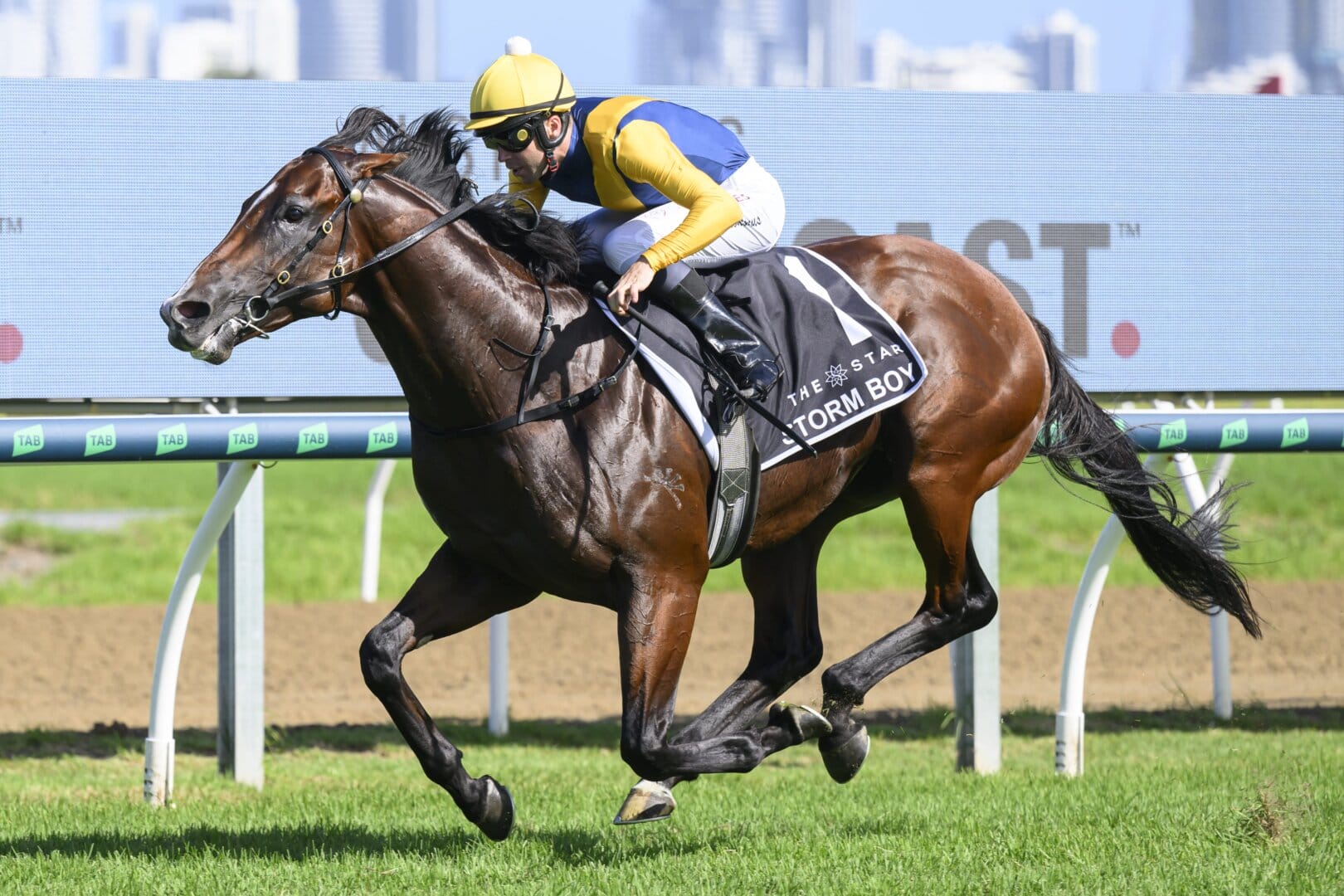 Storm Boy Dominates in Magic Millions 2YO Classic Magic Millions(04)