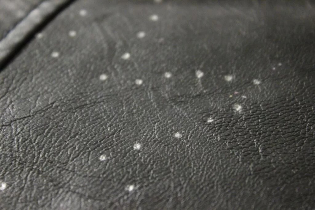 Stud Your Leather Jacket A Complete Guide on How to Do It Magic of