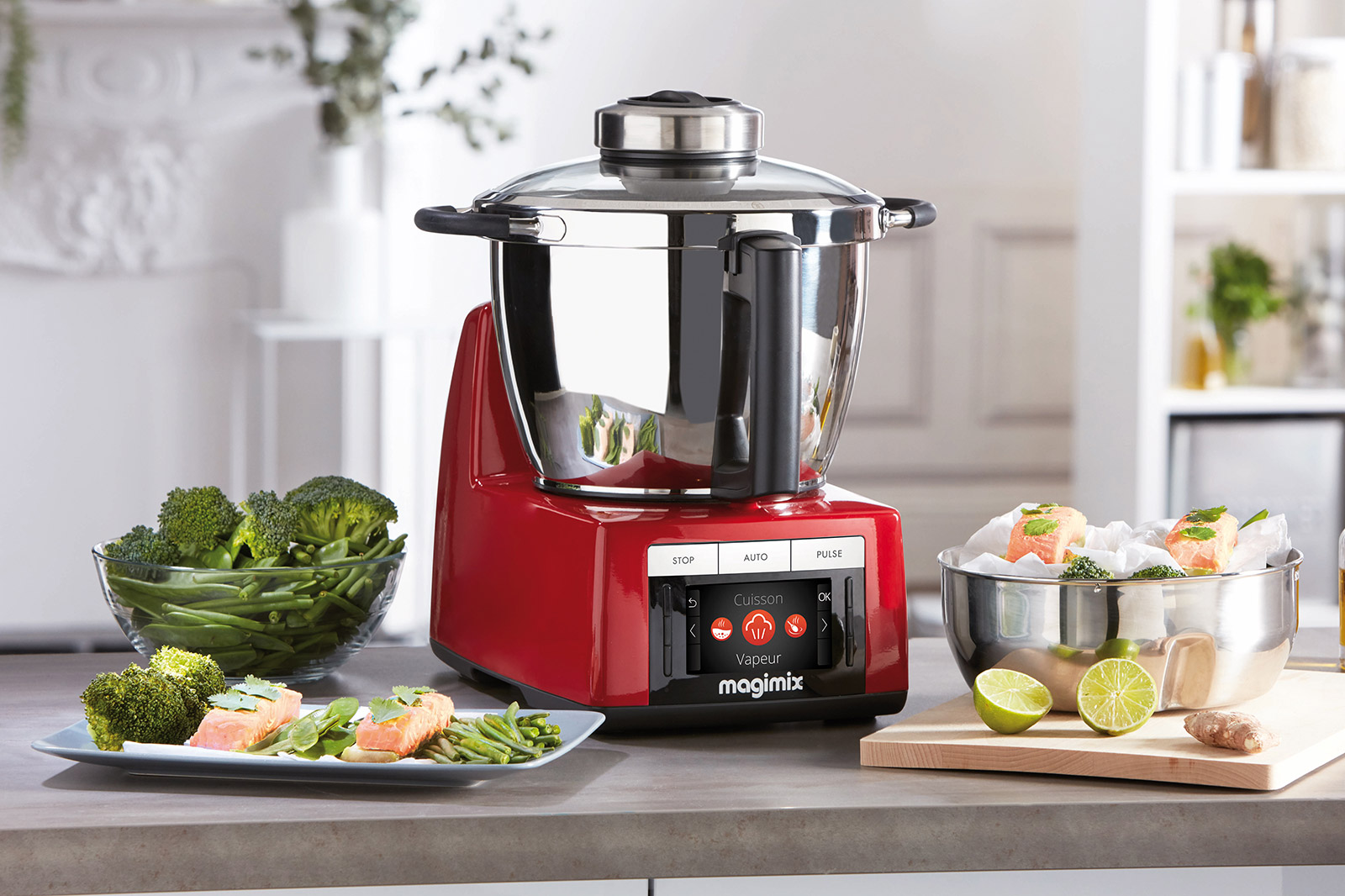 Magimix Official History Premium Kitchen Appliances