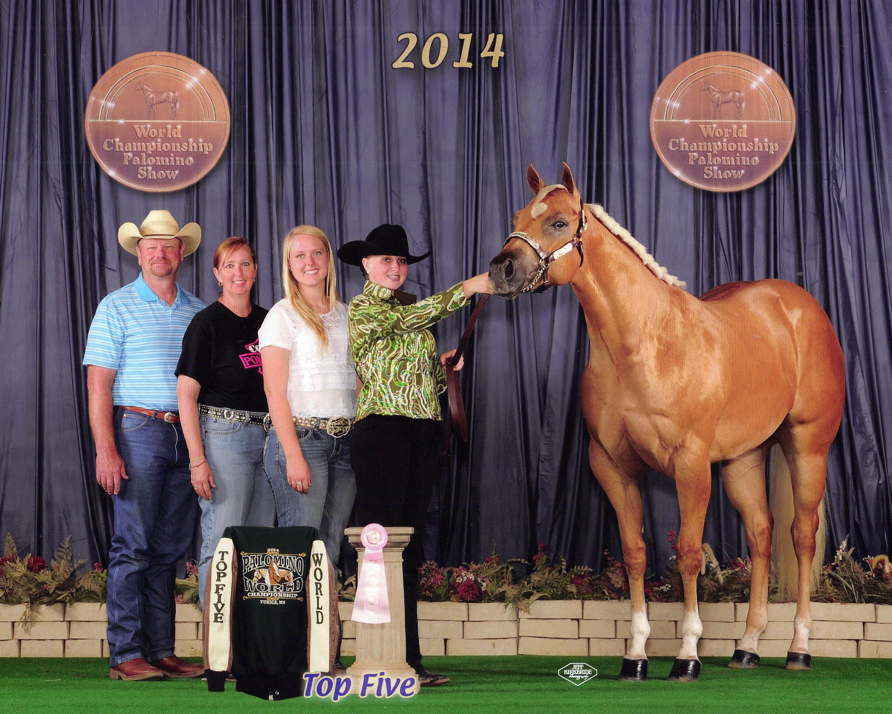 Magness Quarter Horses