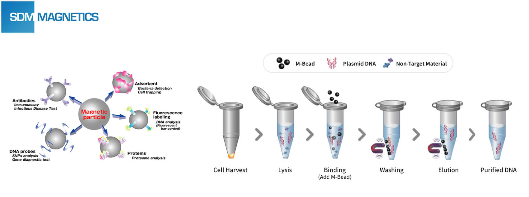 Introduction of Bead Separation Rack SDM Co., Ltd.