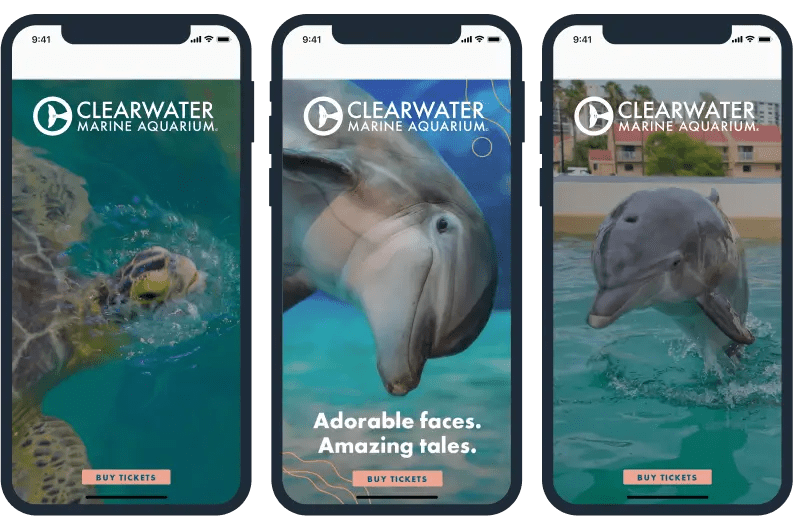 Clearwater Marine Aquarium Magnitude of Change