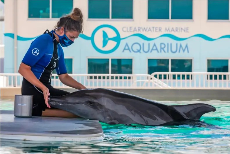 Clearwater Marine Aquarium Magnitude of Change