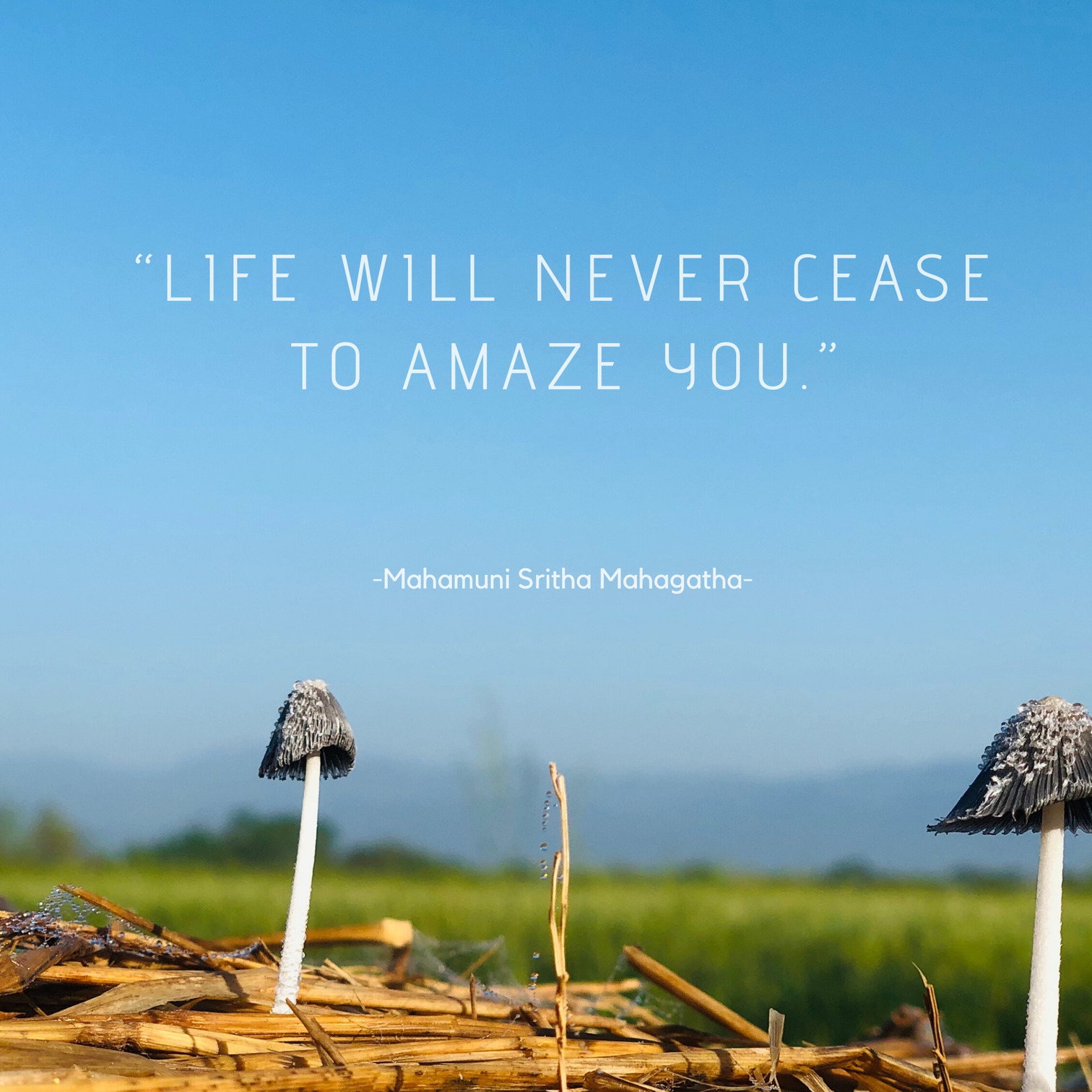 Life will never cease to amaze you. Official Website of Mahagathe(04)