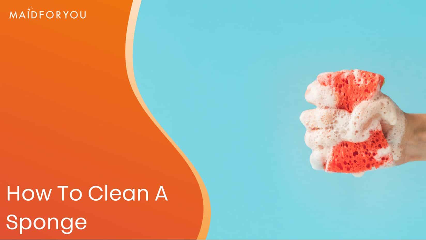 How to Clean a Sponge | Don't Throw it Away | MaidForYou