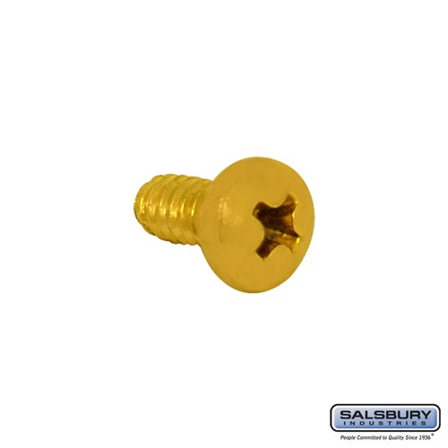 Screw for Keyed Lock for Americana Mailbox Door