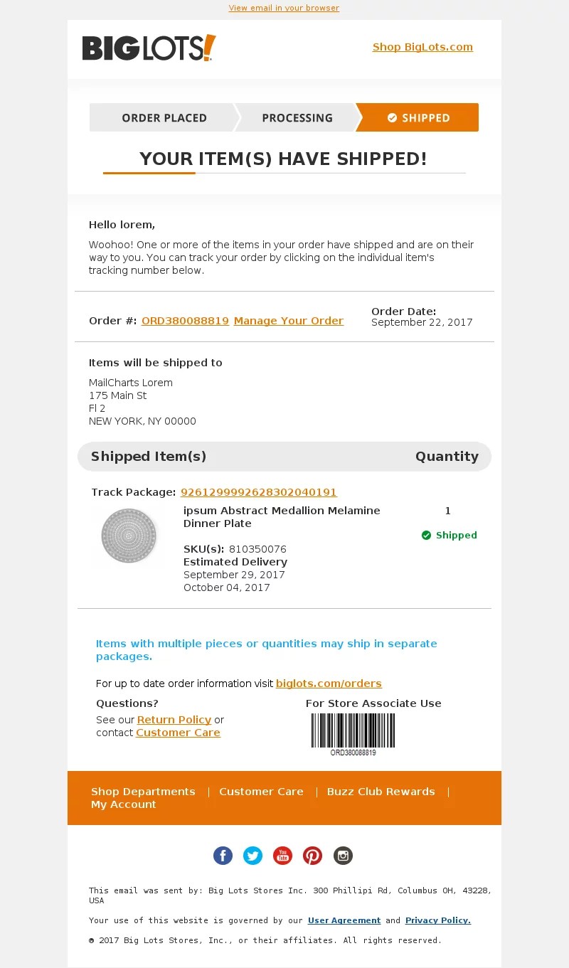 Big Lots’ Purchase Email & Unboxing Experience MailCharts