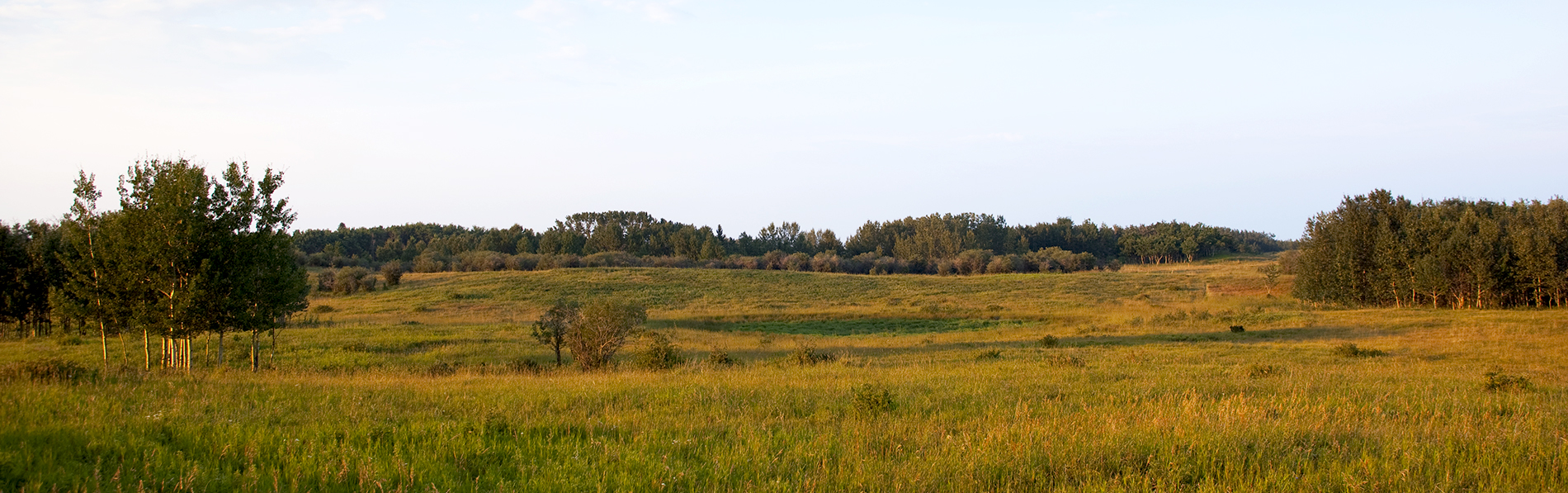 7 Tips On What To Look For When Buying Land in Calgary